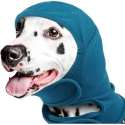 INF Cache-oreilles antibruit pour chien - Coiffe apaisante anti-anxiété Bleu S