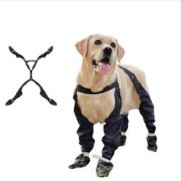 INF Chaussures d'extérieur pour animaux anti-chute/anti-saleté/étanches avec sangles élastiques M