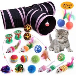 INF Ensemble de jouets interactifs pour chat 21 pièces - Baguette plume, balles à grelot et tunnel à trois voies pour jeu,