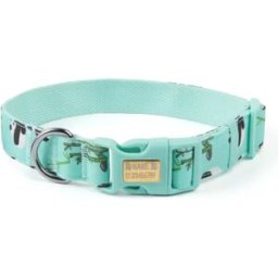 INF Collier Confortable en Coton pour Animaux de Compagnie Taille M avec Boucle Gravable - Réglable, Anti-Traction pour Chiens Vert