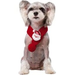 INF Écharpe Tricotée Rouge pour Animaux - Accessoire Tendance et Mignon pour Chiens et Chats L