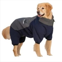 INF Manteau d'hiver imperméable et coupe-vent pour chien - Veste chaude réfléchissante et épaisse en coton XL