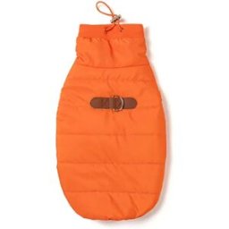INF Harnais Gilet Chauffant pour Animaux - Vêtements d'Hiver avec Traction pour Petits Chiens et Chats S Orange
