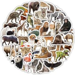 INF Pack d'autocollants animaux mignons et imperméables pour enfants et adultes animal