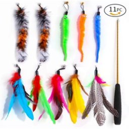 INF Ensemble jouet pour animaux 11 pièces - Canne télescopique rétractable à plumes avec têtes de rechange pour jeu, exercice