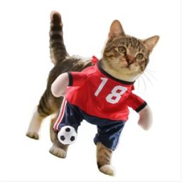 INF Costume d'Halloween de joueur de football pour animaux de compagnie - Tenue amusante pour chats et chiens pour les fêtes XL