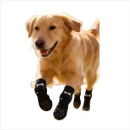 INF Chaussettes Antidérapantes pour Chien avec Adhésif Double Face - Protection des Pattes & Sécurité au Sol M Le noir