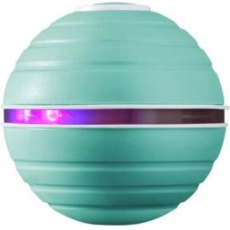 INF Balle de jeu automatique 2-en-1 pour chat avec pointeur laser - Divertissement interactif pour animaux Vert