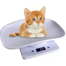 INF Balance Numérique pour Animaux de Compagnie - Capacité 15kg avec Écran LCD, Pesée Précise pour Petits Animaux