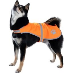 INF Gilet de sécurité réfléchissant pour animaux - Gilet anti-perte haute visibilité pour chien, idéal pour les promenades M Orange