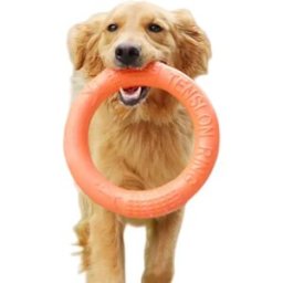 INF Anneau de traction pour animaux de compagnie en EVA - Jouet interactif flottant à mâcher pour chien pour l'entraînement et S