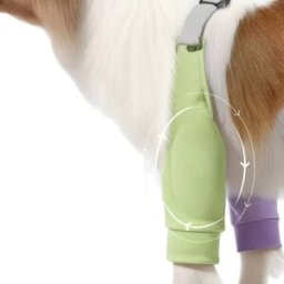 INF Protection coude-patte avant toutes saisons pour chien – Manchon rembourré anti-abrasion avec sangles élastiques réglables L