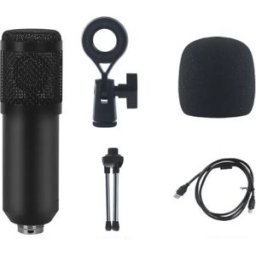INF Microphone à Condensateur USB - Micro d'Enregistrement Studio Plug & Play pour PC
