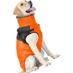 INF Manteau d'hiver orange pour chien avec gilet en polaire - Vêtement d'extérieur chaud et coupe-vent XL