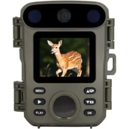 INF Mini caméra de chasse 1080P - Vision nocturne infrarouge, caméra de surveillance étanche pour la faune