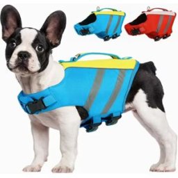 INF Gilet de sauvetage d'été pour animaux - Gilet de bain pour chien en polyester avec bandes réfléchissantes pour sécurité Bleu L