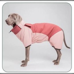 INF Combinaison de neige rose pour chien à quatre pattes : Chaude, coupe-vent et couverture intégrale pour grands chiens 4XL