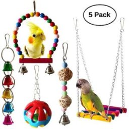 INF Ensemble 5 pièces pour oiseaux – bois de pin et métal, accessoires pour cage de perroquet avec échelle et balançoire