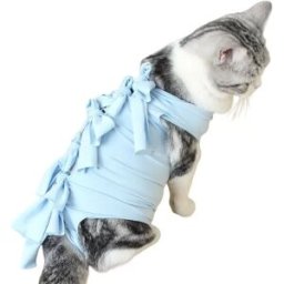 INF Combinaison de récupération bleue pour chat - Protection respirante pour les plaies chirurgicales des animaux de compagnie M