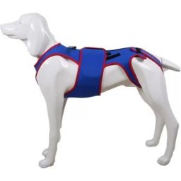 INF Veste de soutien spinal pour animaux : Correction de la posture et protection du cou XL
