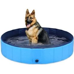 INF Piscine Pliable pour Animaux de Compagnie avec Fond Antidérapant - Baignoire Idéale pour Chiens et Chats XL