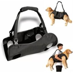 INF Harnais de levage pour chiens âgés et handicapés - Ceinture d'assistance pour animaux de compagnie en tissu Oxford pour M