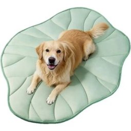 INF Tapis rafraîchissant été pour animaux - Design feuille de lotus, polyester lavable antidérapant pour chats et chiens (M/L) M