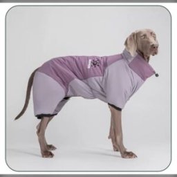 INF Combinaison de Neige Violette XL pour Chien - Manteau d'Hiver Chaud, Imperméable et Coupe-Vent