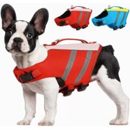 INF Gilet de sauvetage d'été pour animaux - Gilet de bain pour chien en polyester avec bandes réfléchissantes pour sécurité Rouge L