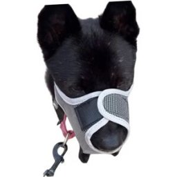 INF Muselière Anti-Ingestion : Muselière Respirante en Maille pour Chien, pour Sécurité et Éducation S