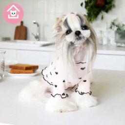 INF Gilet Imprimé Maison Mignon à Volants pour Animaux - Vêtements d'Automne et d'Hiver pour Chiens et Chats Rose XXL