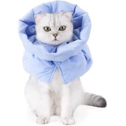 INF Cône de Cou Anti-Léchage Hivernal pour Animaux - Collier de Récupération Doux et Ajustable pour Chiens et Chats M Bleu clair