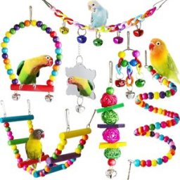 INF Ensemble de Jouets pour Oiseaux en Cage - 7 Pièces en Pin et Métal, Multicolore, Comprend Échelle en Bois et Balançoire,