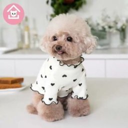 INF Gilet Imprimé Maison Mignon à Volants pour Animaux - Vêtements d'Automne et d'Hiver pour Chiens et Chats M Blanc