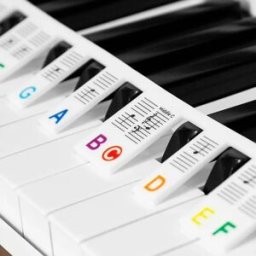 INF Etiquettes amovibles pour clavier de piano 61 touches Blanc Blanc