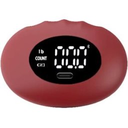INF Dynamomètre Digital Rechargeable - Capacité 180kg/396lb avec Écran LED Vin rouge