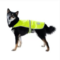 INF Gilet de sécurité réfléchissant pour animaux - Gilet anti-perte haute visibilité pour chien, idéal pour les promenades Vert L