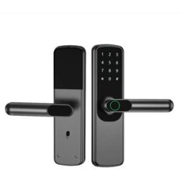 INF Serrure de porte intelligente grise - Accès via application, mot de passe, carte et clé