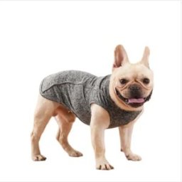 INF Gilet réfléchissant phosphorescent en polyester pour chien avec anneau en D et trou pour laisse – Manteau de sécurité sans M