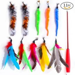 INF Ensemble de jouets à plumes 11 pièces - Baguette rétractable pour chat avec têtes de plume de rechange, tige en acier