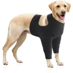 INF Manchons de Protection Avant Double pour Chien : Respirants et Élastiques, Protection Anti-Léchage Post-Opératoire M