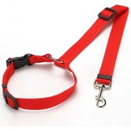 INF Ceinture de sécurité réglable pour animaux de compagnie - Sécurisez votre ami à fourrure lors de vos trajets en voiture Rouge