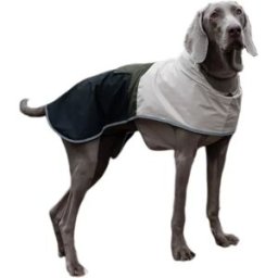 INF Manteau Imperméable et Coupe-Vent pour Grand Chien - Veste Pluie Printemps XL
