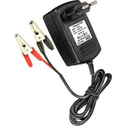 Pastormatic Chargeur De Batterie 12v 4ah 4131996esp Black One Size