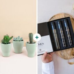 Coffret plantes & oenologie - Interflora - Livraison de fleurs