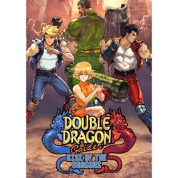 Double Dragon Gaiden: Rise of the Dragons Switch (Europe & UK)
