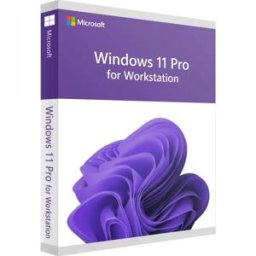 Microsoft Windows 11 Pro for Workstation (pour Stations de travail)