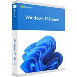 Microsoft Windows 11 Famille