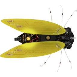 Whadda WSAK204 Cigale Modèle (kit/module): kit à monter 9 V