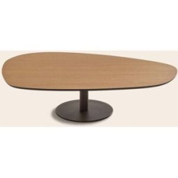 MADURA Table Basse Ismeria Chêne et bronze - MARRON 120x80xH30 cm